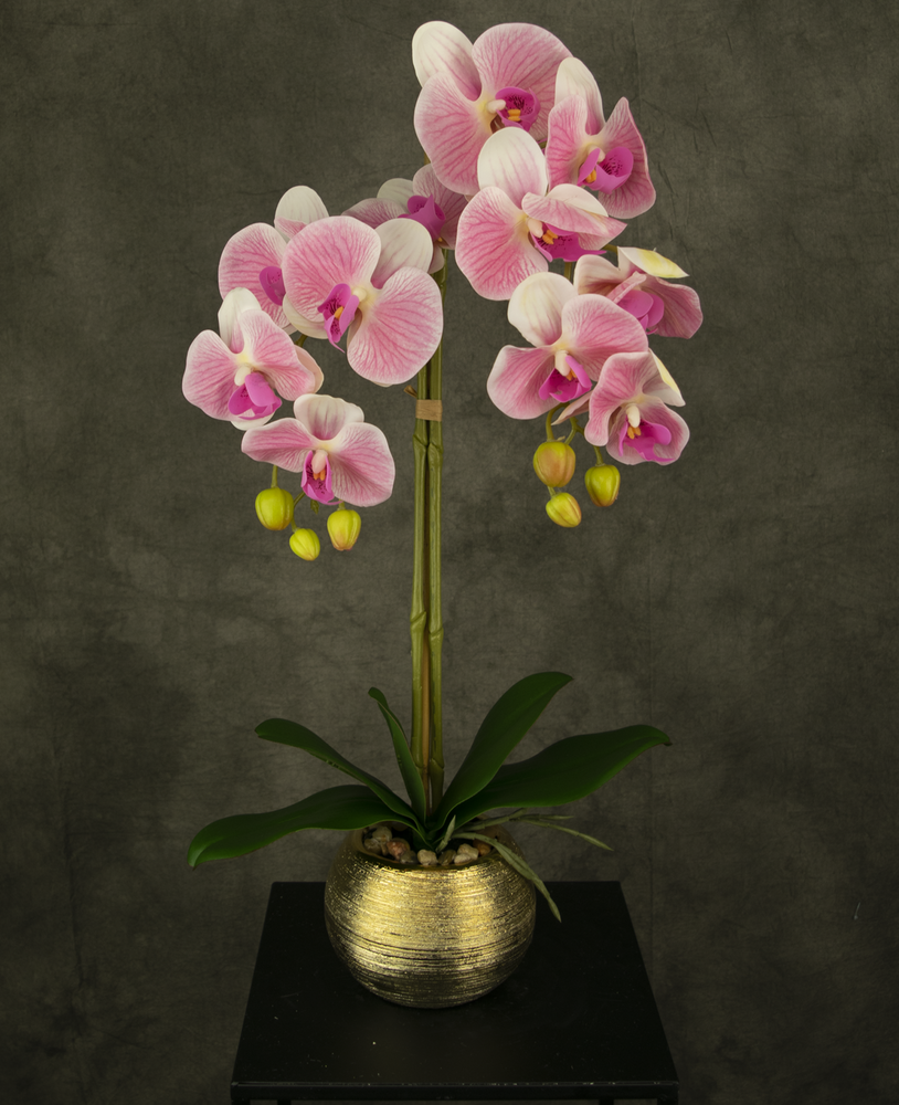 Topf 56 Profi – Künstliche cm Kunstpflanzen goldenen Orchidee im