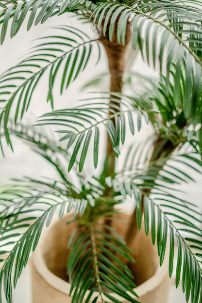 Künstliche Palme Cycas Palmetto Classic 135 cm