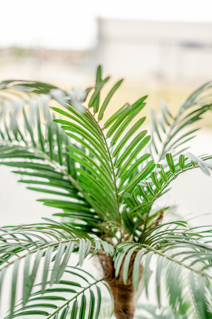 Künstliche Palme Cycas Palmetto Classic 135 cm