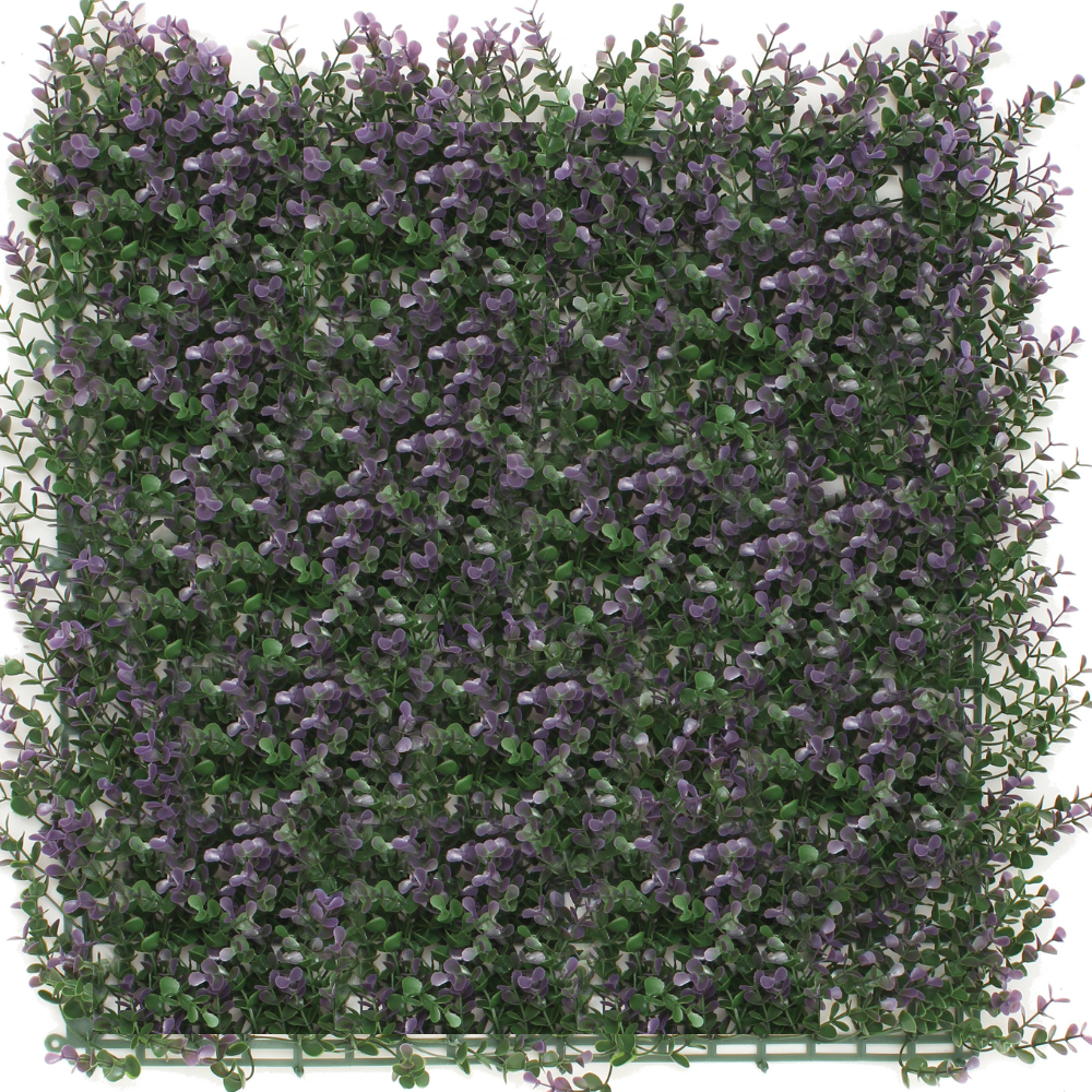 Pflanzwand Buxus lila 50x50 cm UV