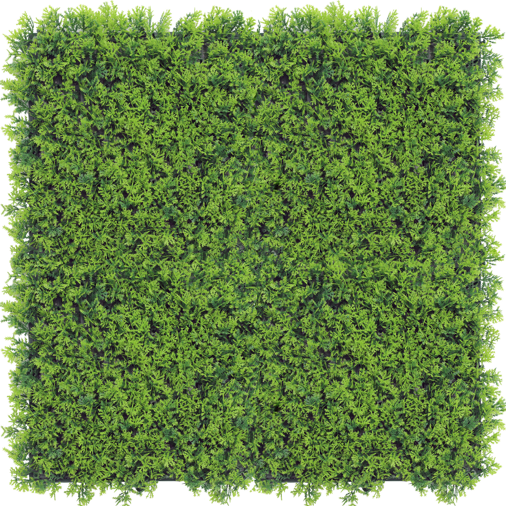 Pflanzwand Cupressus 50x50 cm UV