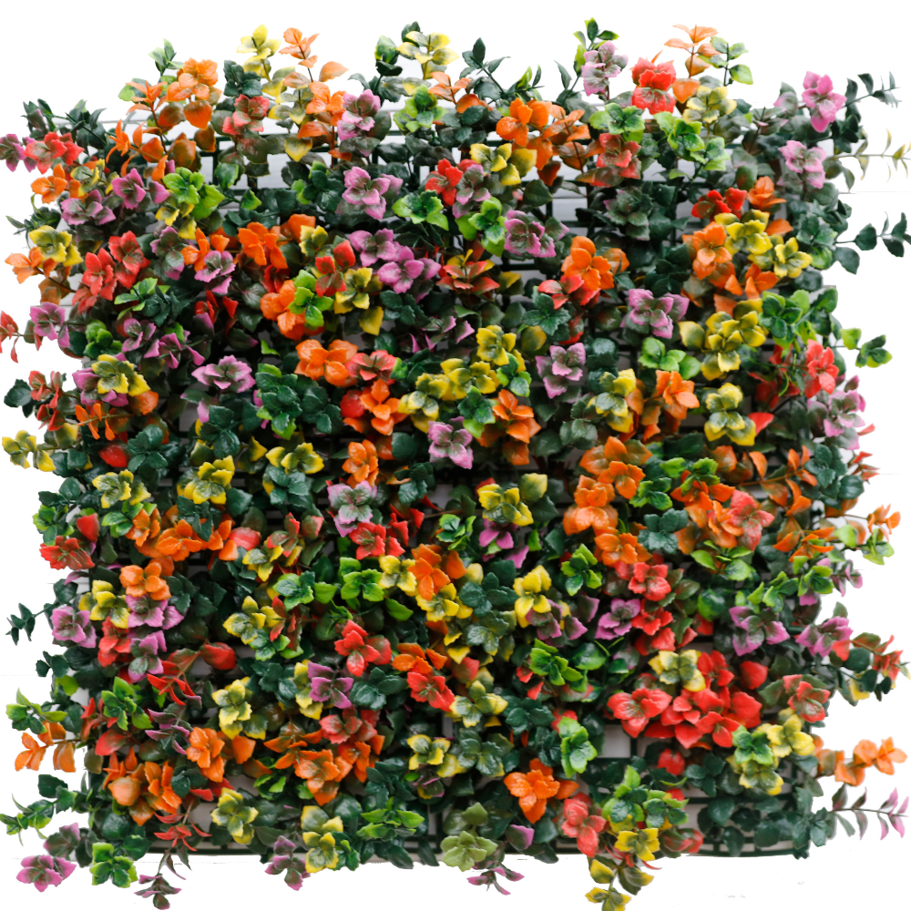 Planzwand Pachysandra Bunt 50x50 cm UV