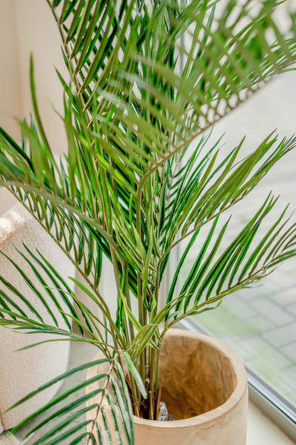 Künstliche Palme Areca 150 cm