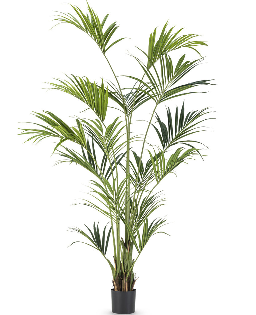 Künstliche Palme Kentia 220 cm