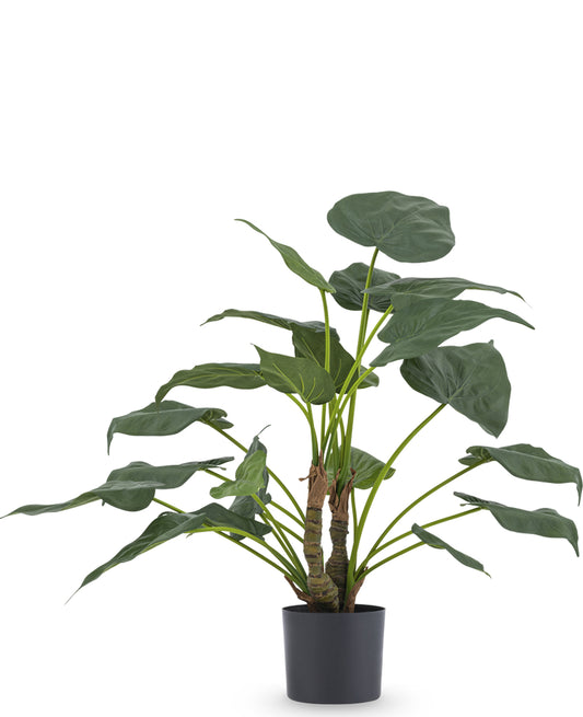 Künstliche Alocasia 53 cm