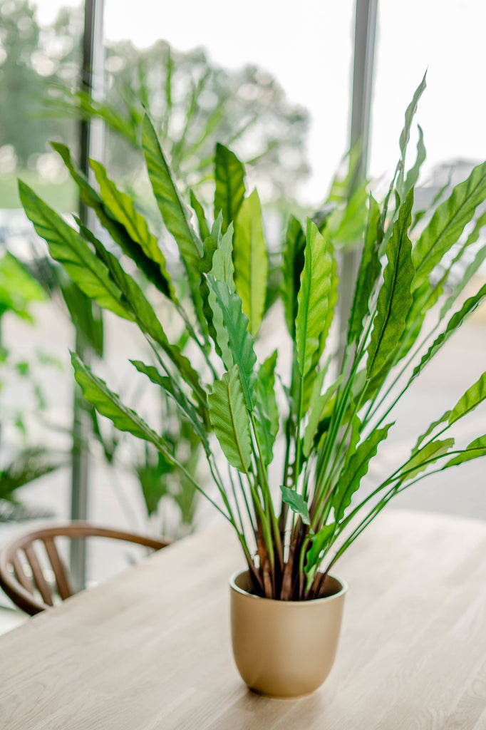 Künstliche Calathea 80 cm