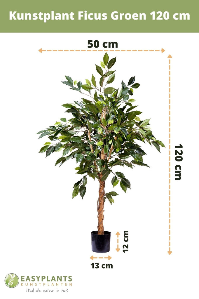 Kunstpflanze Ficus Grün 120 cm