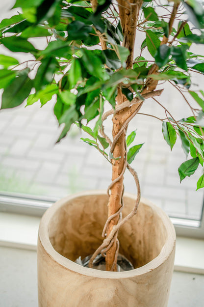 Kunstpflanze Ficus Grün 150 cm