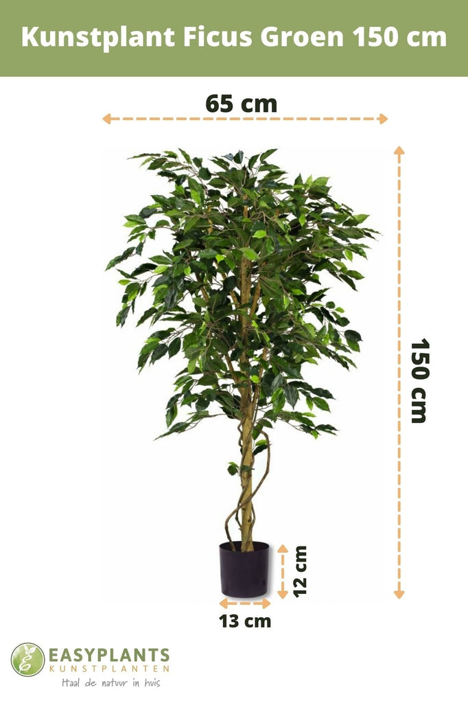 Kunstpflanze Ficus Grün 150 cm