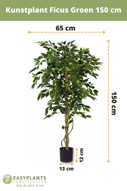 Kunstpflanze Ficus Grün 150 cm