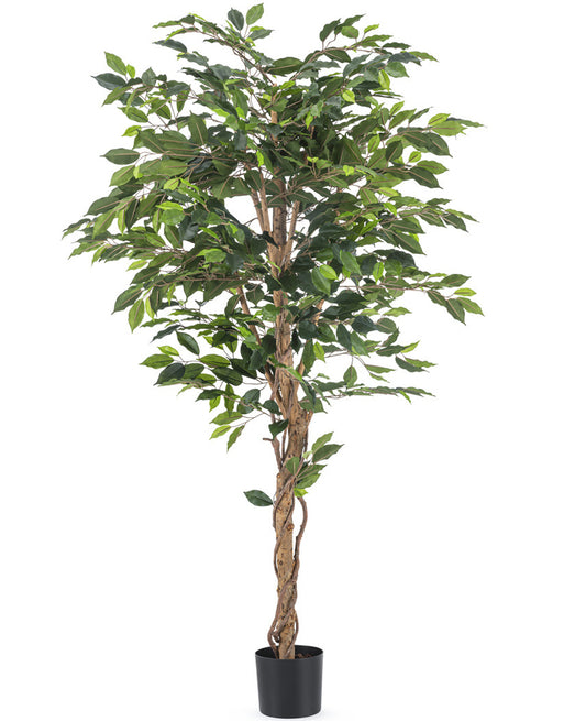 Kunstpflanze Ficus Grün 180 cm