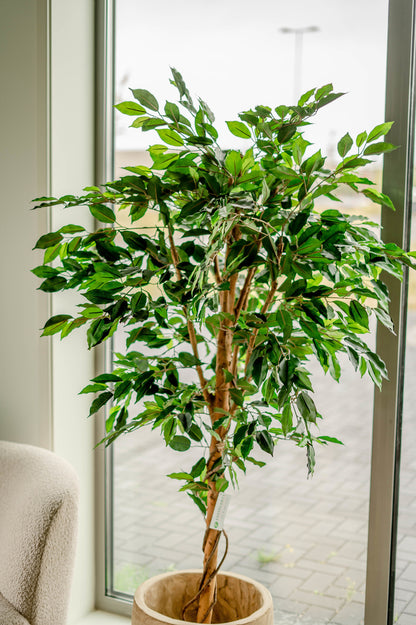 Kunstpflanze Ficus Grün 180 cm