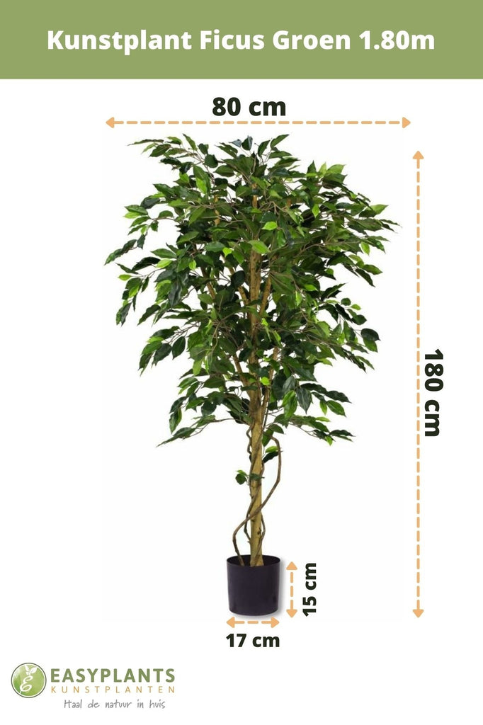 Kunstpflanze Ficus Grün 180 cm