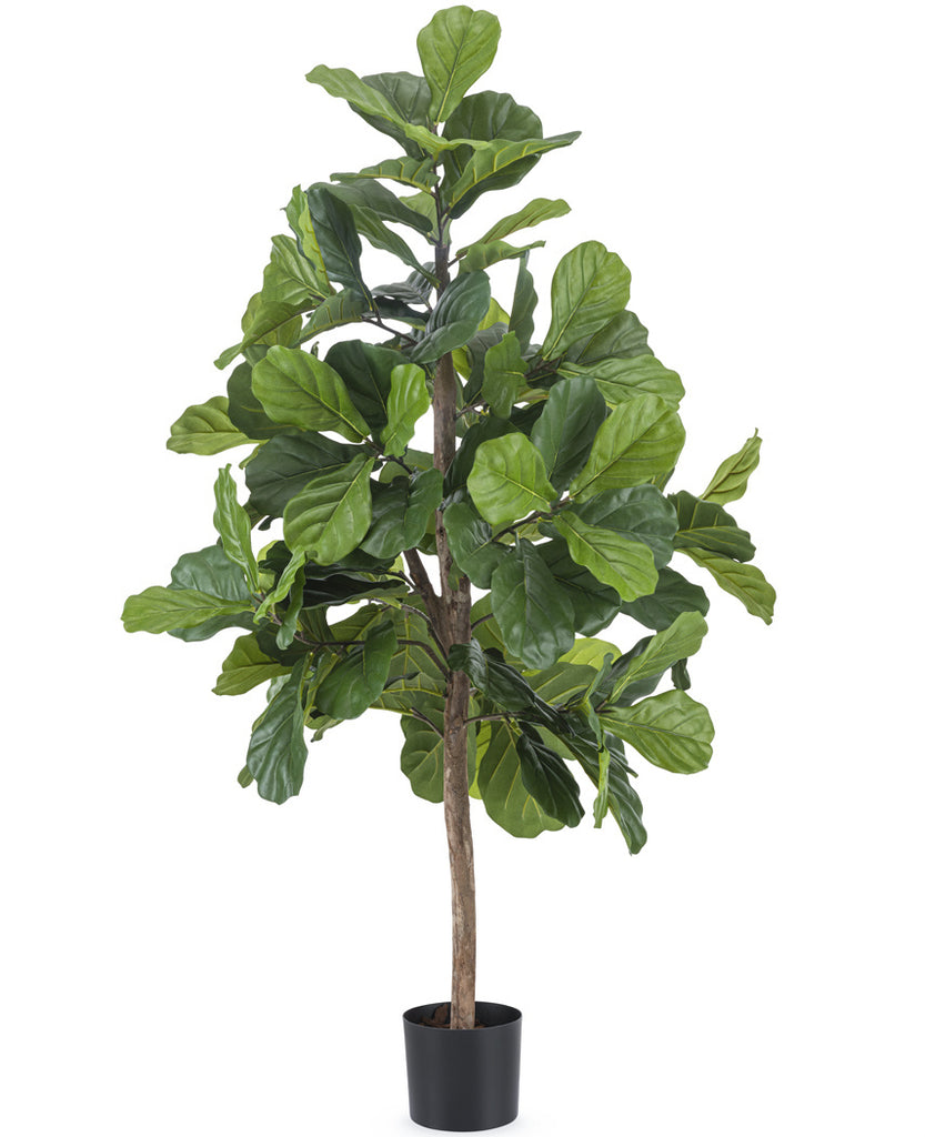 Künstliche Tabakpflanze Ficus Lyrata 150 cm