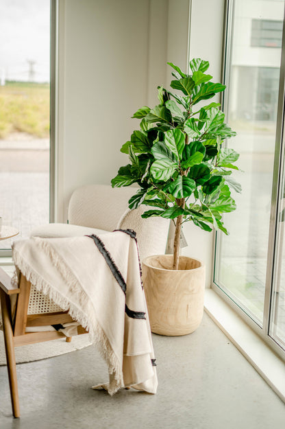 Künstliche Tabakpflanze Ficus Lyrata 150 cm