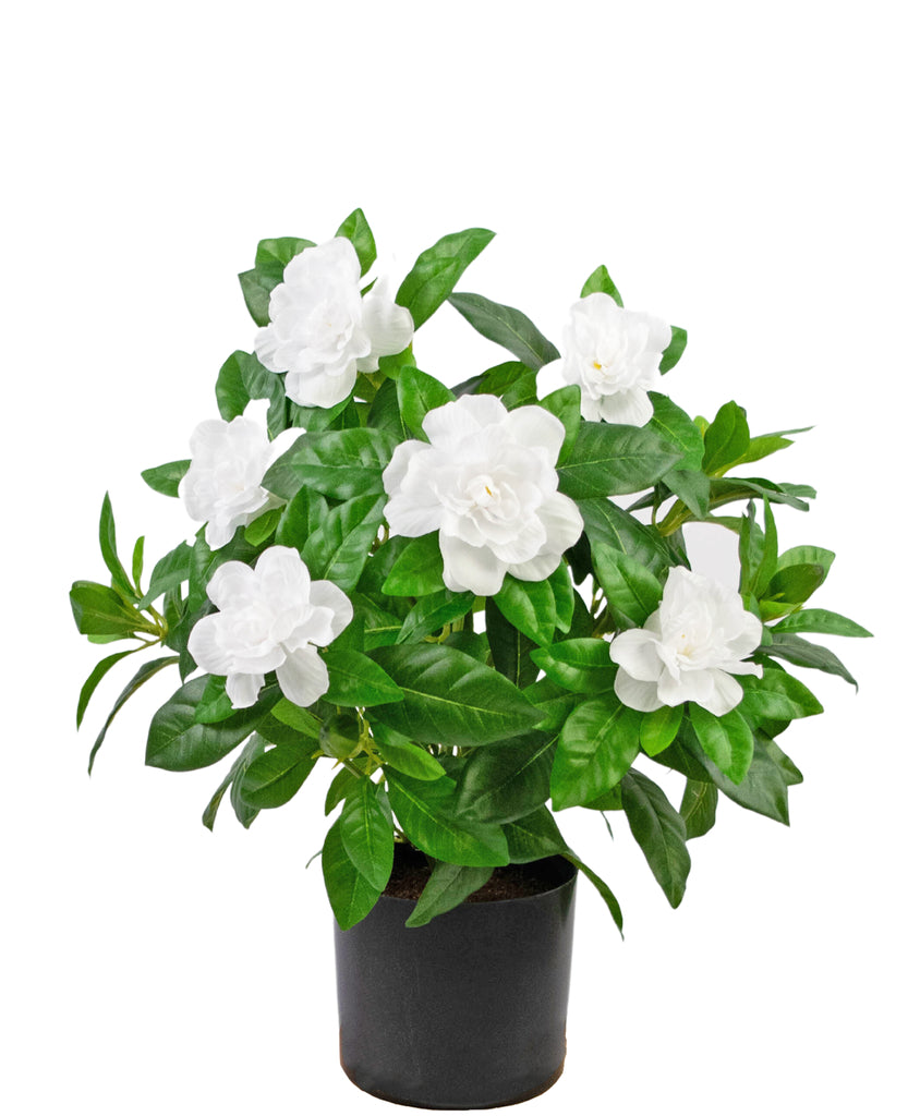 Künstliche Gardenia Weiß 39 cm