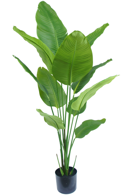 Kunstpflanze Strelitzia Premium 150 cm