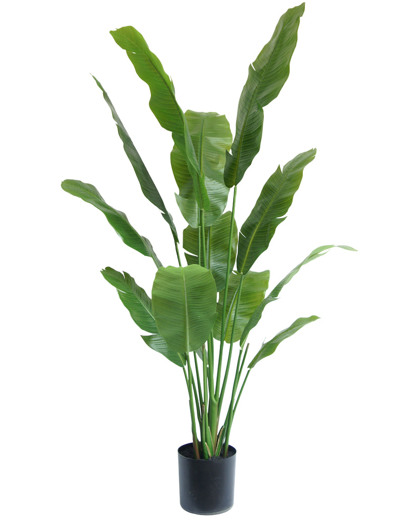 Kunstpflanze Strelitzia Deluxe 165 cm